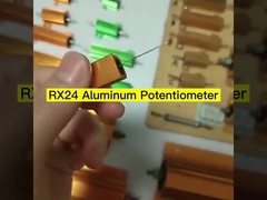 RX24 Gold Aluminum Case Resistor de alta potência 25W 50W 100W 200W 300W Car Current Limiting Load Element