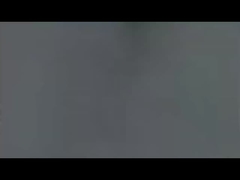 Muto do potencialómetro (2)